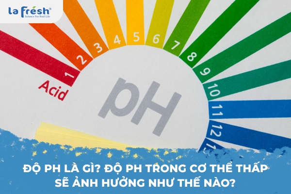 Độ pH là gì? Độ pH trong cơ thể thấp sẽ ảnh hưởng như thế nào?