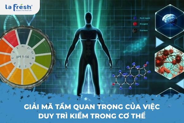 Giải mã tầm quan trọng của việc duy trì kiềm trong cơ thể